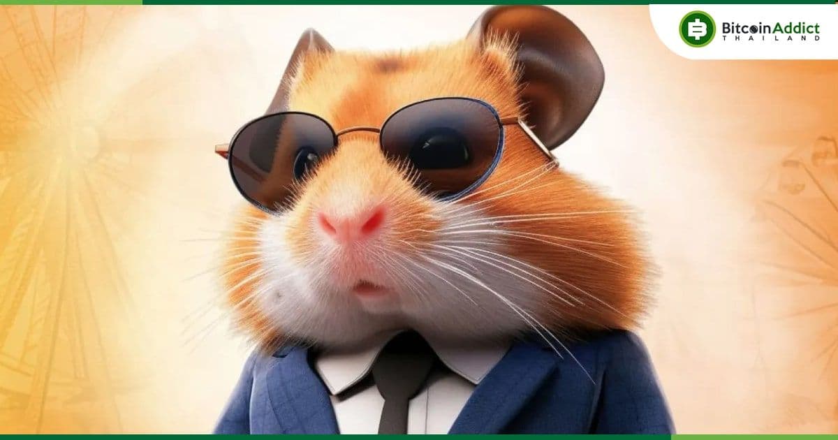 Hamster Kombat เผยว่าได้ปฏิเสธข้อเสนอจากนักลงทุน VC "ทุกข้อเสนอ"