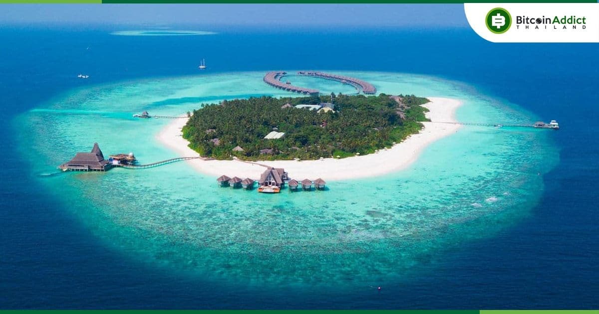 น้องชายของ Sam Bankman-Fried มีแผนที่จะซื้อเกาะและเตรียมเอาตัวรอดจากหายนะ