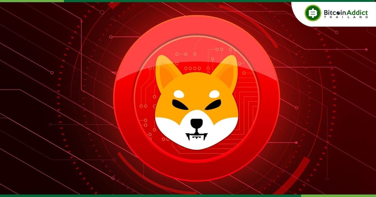 หัวหน้านักพัฒนา Shiba Inu เผยว่า การอัปเดต "ที่น่าตื่นเต้น" จะมาเร็ว ๆ นี้