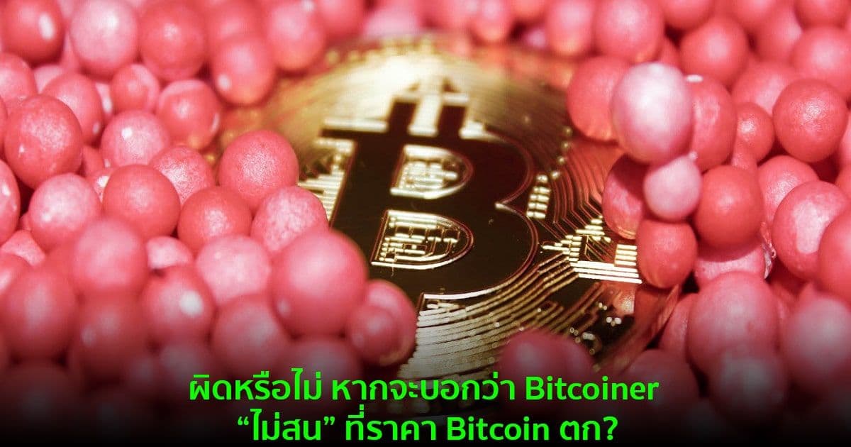 ผิดหรือไม่ หากจะบอกว่า Bitcoiner ‘ไม่สน ที่ราคา Bitcoin ตก?