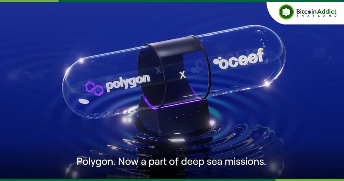 Polygon ร่วมมือกับ NGO เพื่อพัฒนาความรู้เรื่องมหาสมุทรผ่าน Metaverse