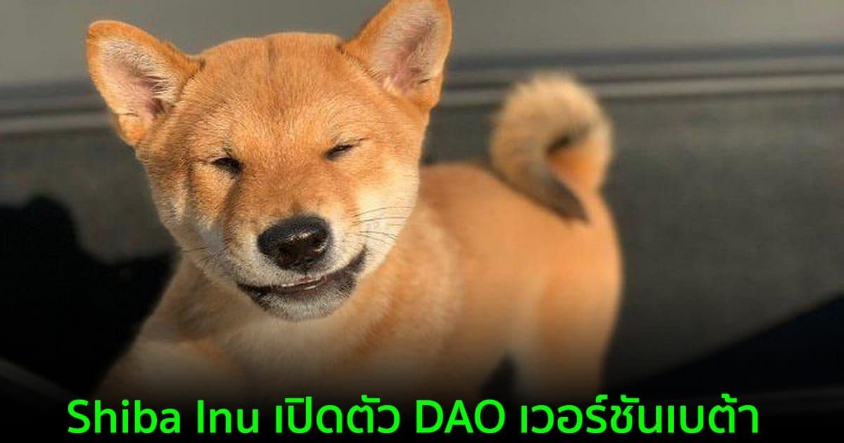 Shiba Inu เปิดตัว DAO เวอร์ชันเบต้า เพื่อให้ผู้ใช้มีส่วนร่วมในการควบคุมโครงการ