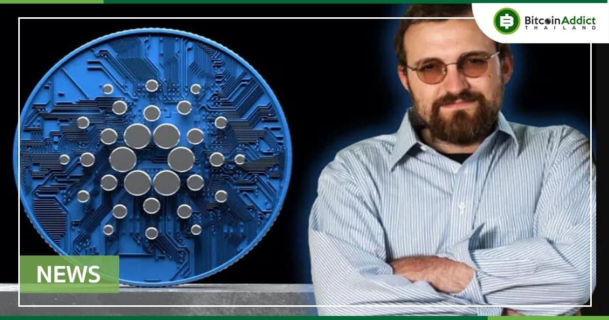 Cardano มีโครงการใหม่ 400 โครงการ  พร้อมกับมีการสร้างกระเป๋าเงินใหม่ 100,000 กระเป๋าในเดือนที่ผ่านมา