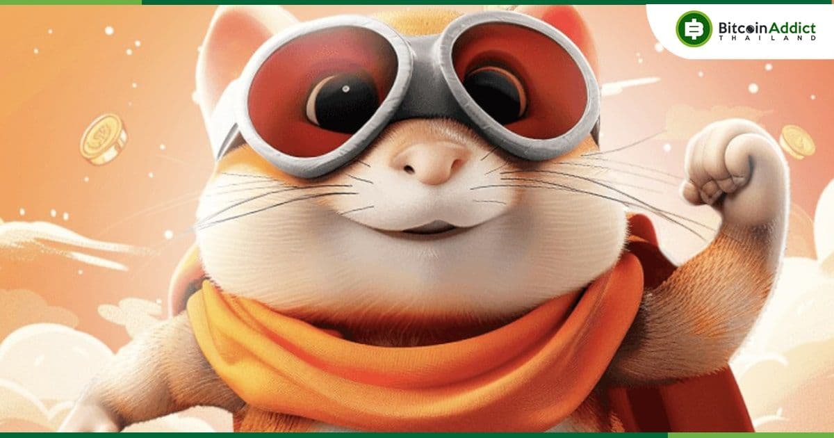 ผู้ก่อตั้ง Hamster Kombat เปิดเผยที่มาของเกม พร้อมแง้มแผนการแจก Airdrop รอบ 2