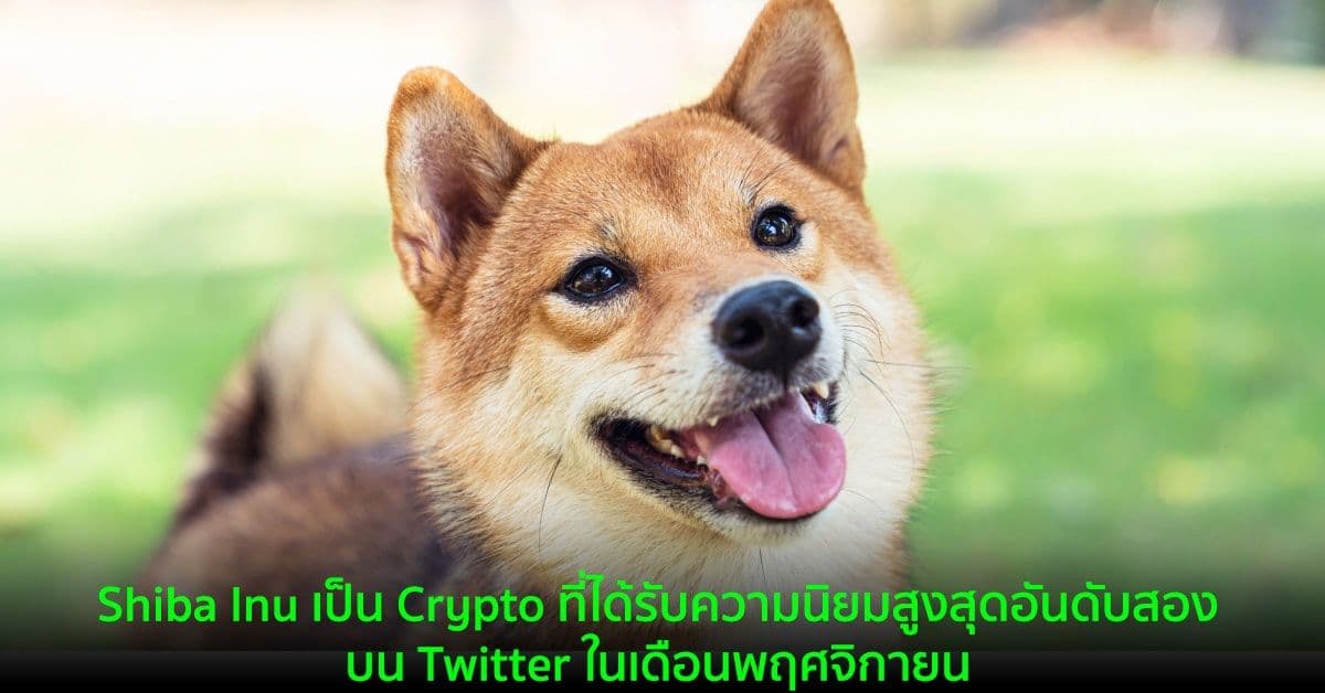 Shiba Inu เป็น Crypto ที่ได้รับความนิยมสูงสุดอันดับสองบน Twitter ในเดือนพฤศจิกายน