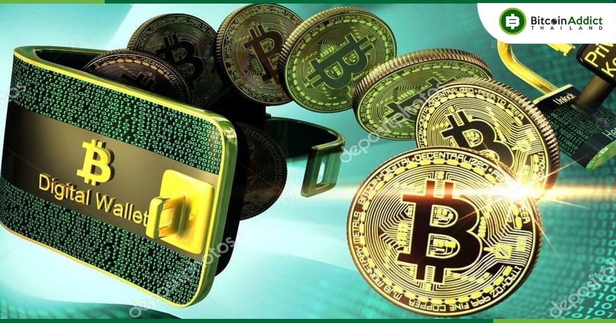 กระเป๋าที่มีอย่างน้อย 1 Bitcoin ทำสถิติสูงสุดเป็นประวัติการณ์