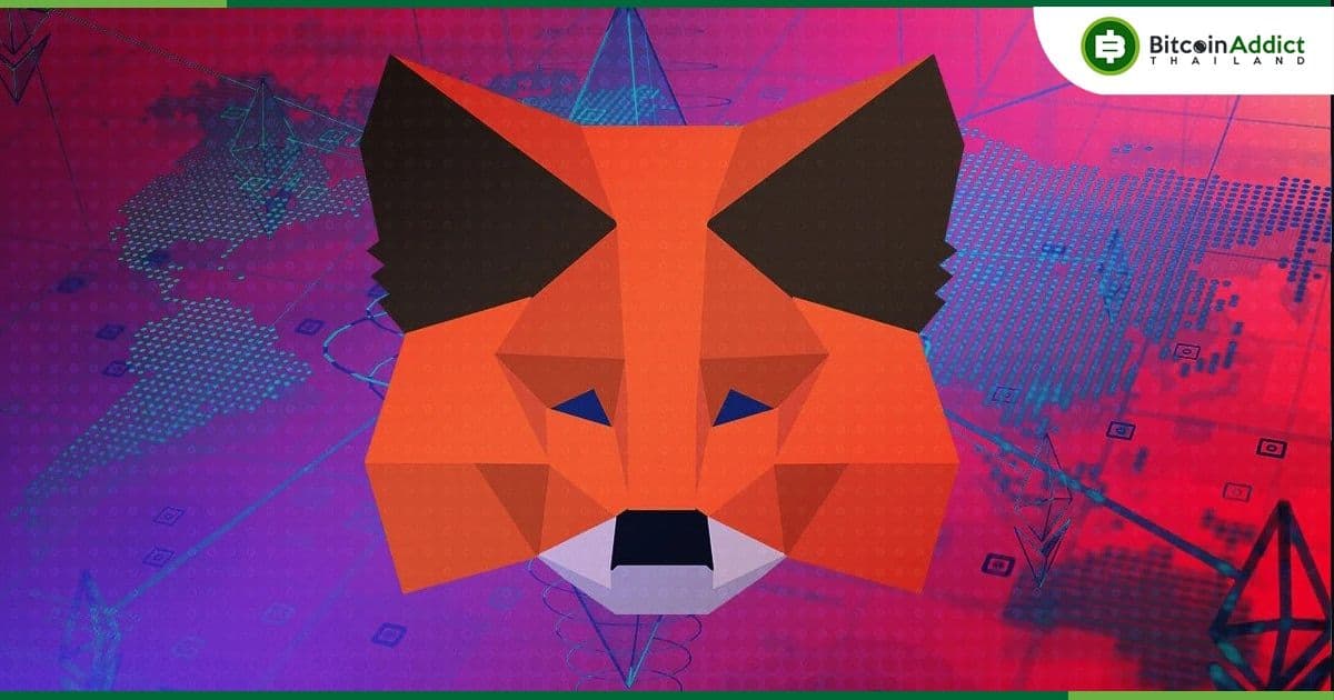 MetaMask เปิดตัวบริการ Validator Staking ผ่าน MetaMask Portfolio