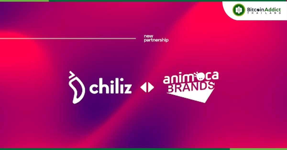 Animoca Brands เข้าร่วมเป็น Validator บน Chilliz Chain ที่เน้นด้าน SportFi และความบันเทิง