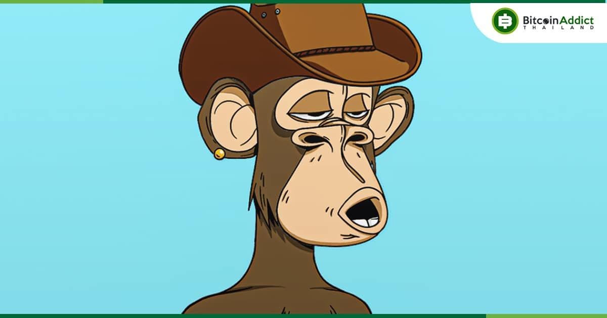 Yuga Labs เดินหน้าฟ้องร้องศิลปินที่ก๊อปปี้และขายคอลเลกชัน Bored Ape NFT