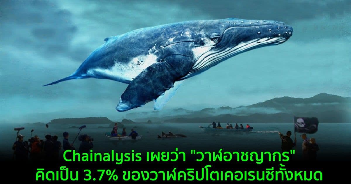 Chainalysis เผยว่า "วาฬอาชญากร" คิดเป็น 3.7% ของวาฬคริปโตเคอเรนซีทั้งหมด