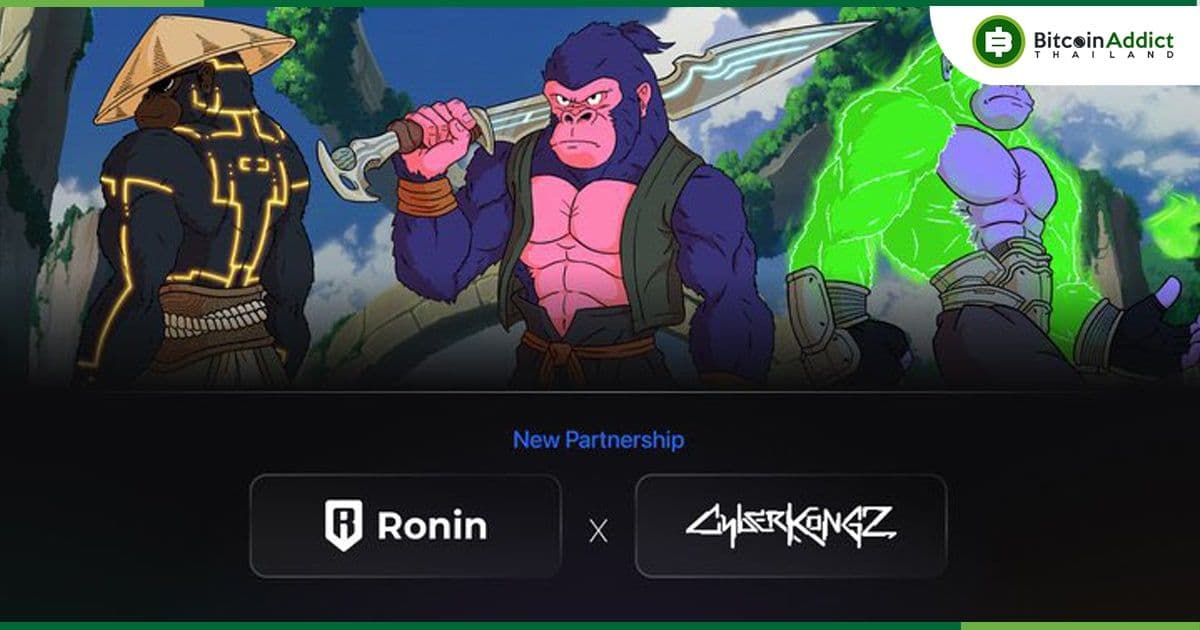 ผู้สร้าง Axie Infinity เตรียมพัฒนาเกมใหม่ ร่วมกับ CyberKongz