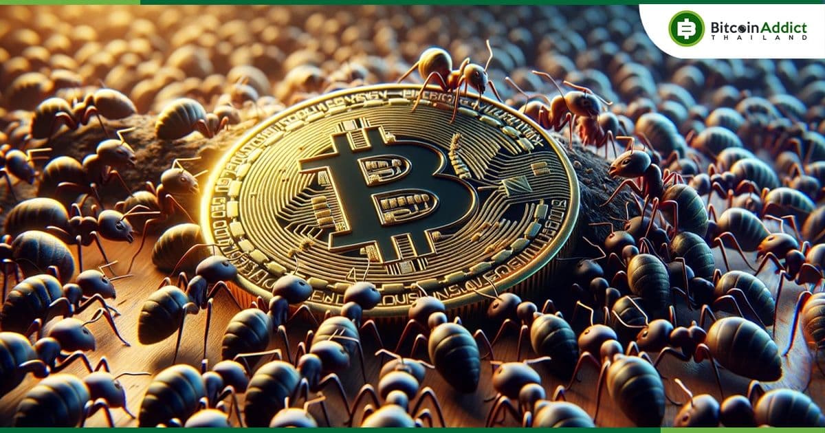 Bitcoin จำเป็นต้องสูงกว่า 80,000 ดอลล่าร์ (2.9 ล้านบาท) เพื่อรักษาผลกำไรจากการขุด หลังการ Halving