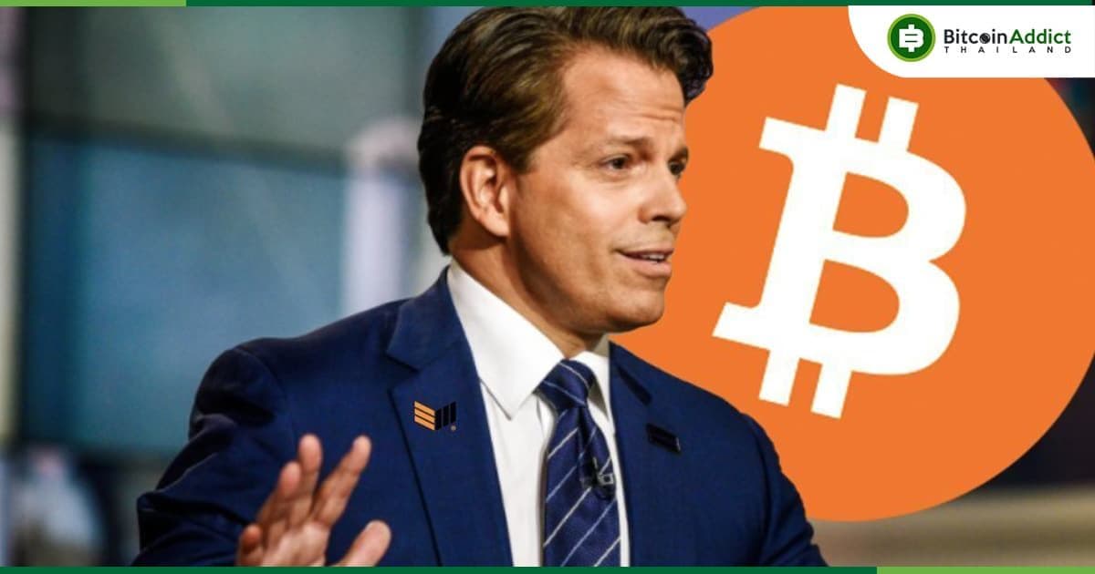Anthony Scaramucci คิดว่าตลาดหมี Bitcoin จบลงแล้ว