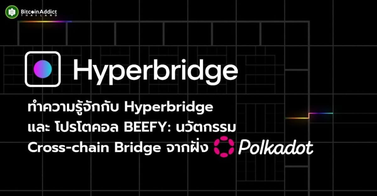 ทำความรู้จักกับ Hyperbridge และ โปรโตคอล BEEFY: นวัตกรรม Cross-chain Bridge จากฝั่ง Polkadot