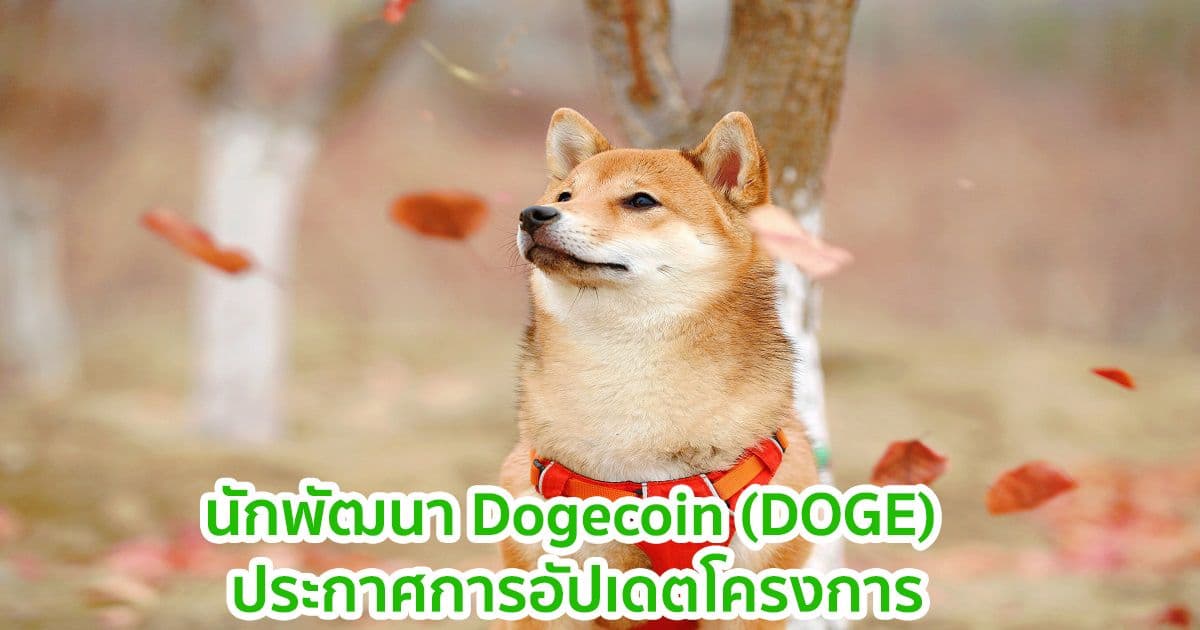 นักพัฒนา Dogecoin (DOGE) ประกาศการอัปเดตโครงการ