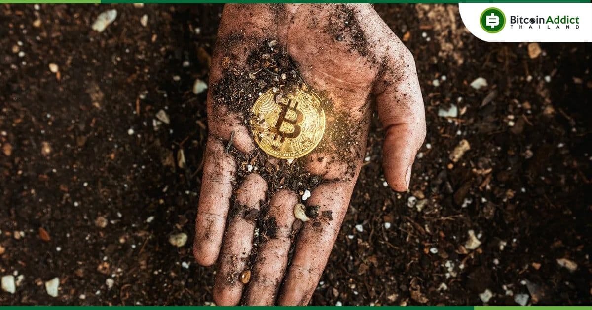 Hashrate ของ Bitcoin ลดลงถึงระดับเดียวกับเดือนธันวาคม 2022