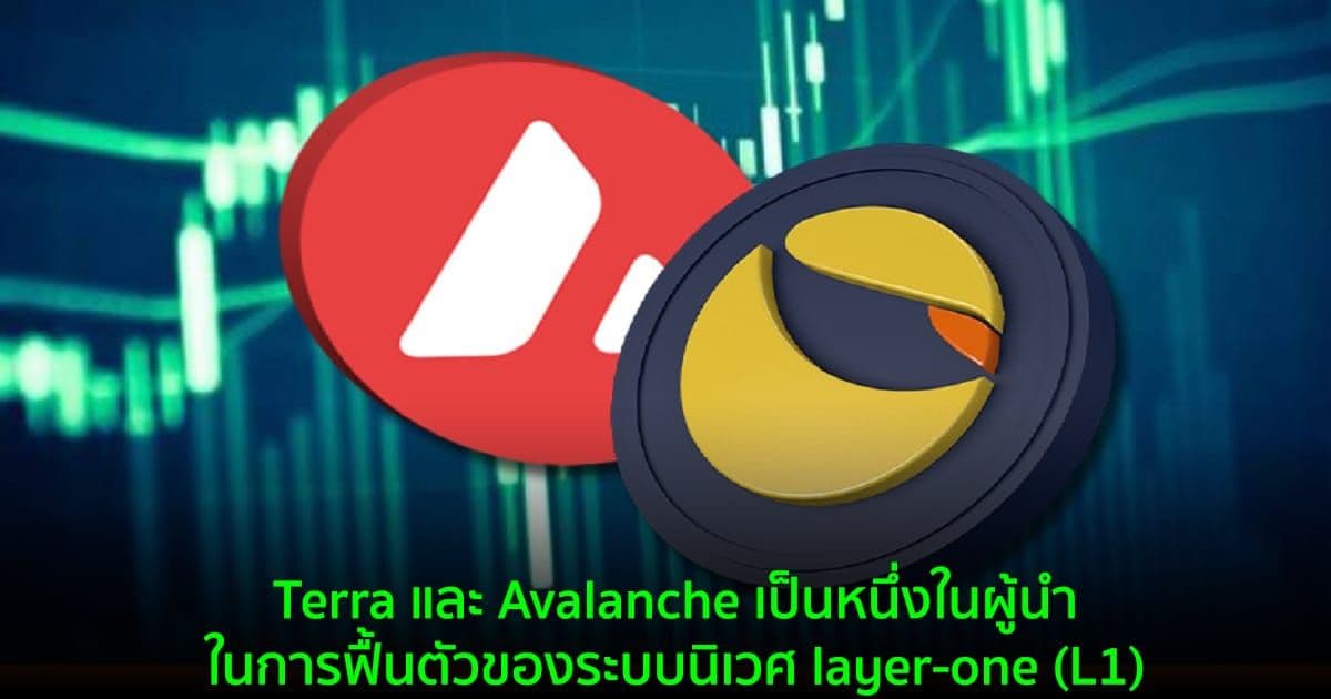 Terra และ Avalanche เป็นหนึ่งในผู้นำในการฟื้นตัวของระบบนิเวศ layer-one (L1)