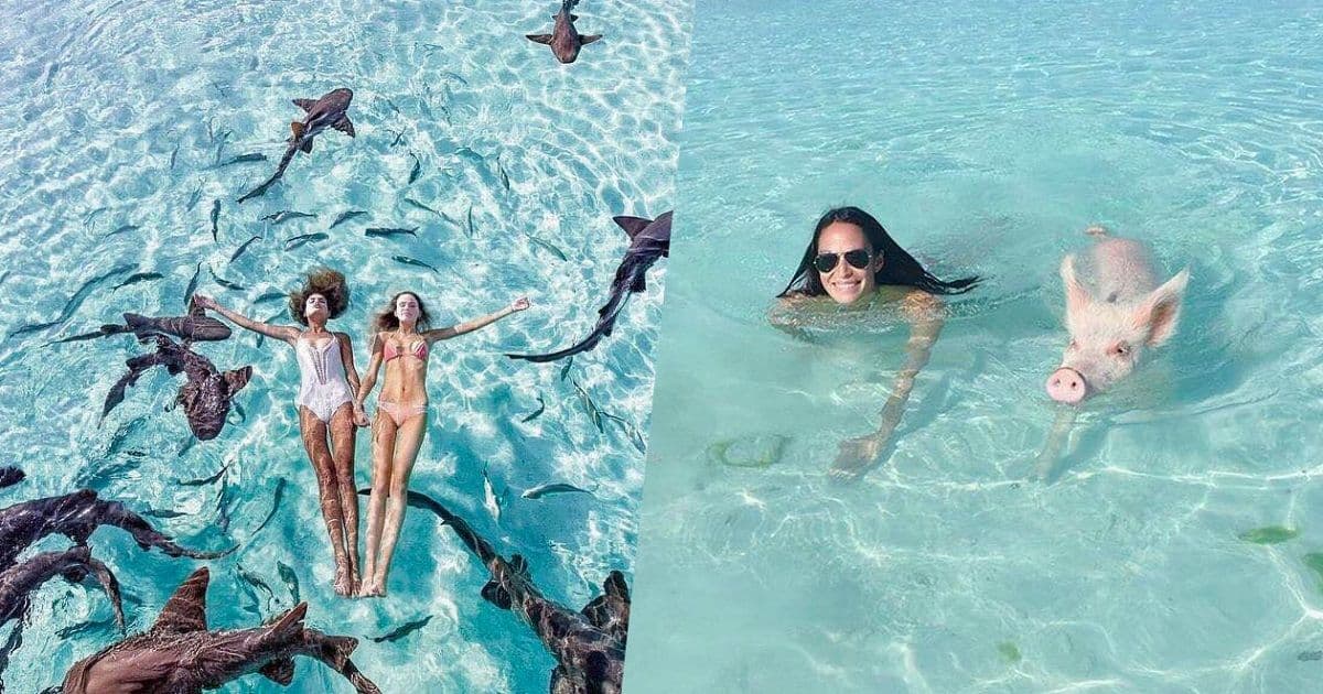 บาฮามาส วางแผนที่จะนำสกุลเงินดิจิทัลของธนาคารกลาง (CBDC) มาใช้ไม่เกินปี 2020