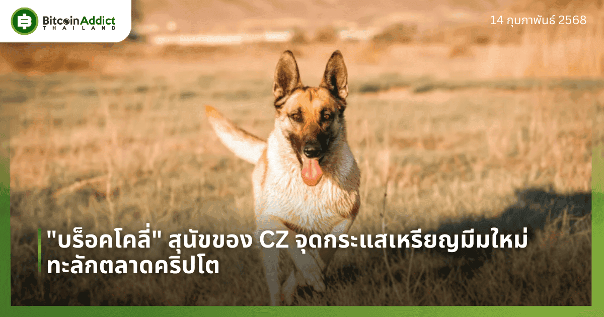 “บร็อคโคลี่” สุนัขของ CZ จุดกระแสเหรียญมีมใหม่ทะลักตลาดคริปโต