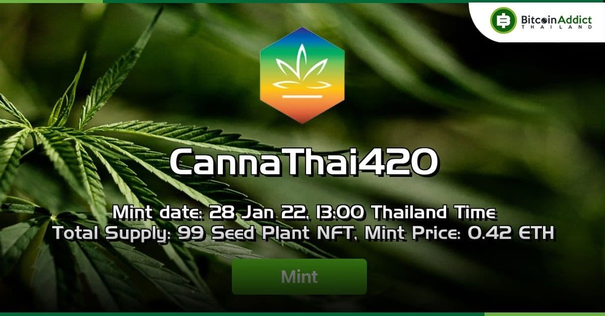 ทำความรู้จัก Cannathai420 โปรเจกต์ที่มาพร้อมกับเรื่องราวการเติบโตของกัญชาไทย พร้อมจัดกิจกรรมแจก Whitelist กว่า 15 สิทธิ์