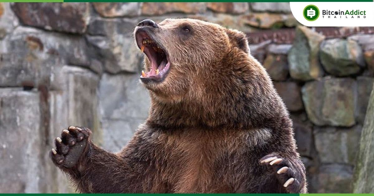 นักเทรดยังกังวลการกลับมาของตลาดหมี พร้อมจับตาดูการฟื้นตัวของเงินดอลลาร์สหรัฐฯ