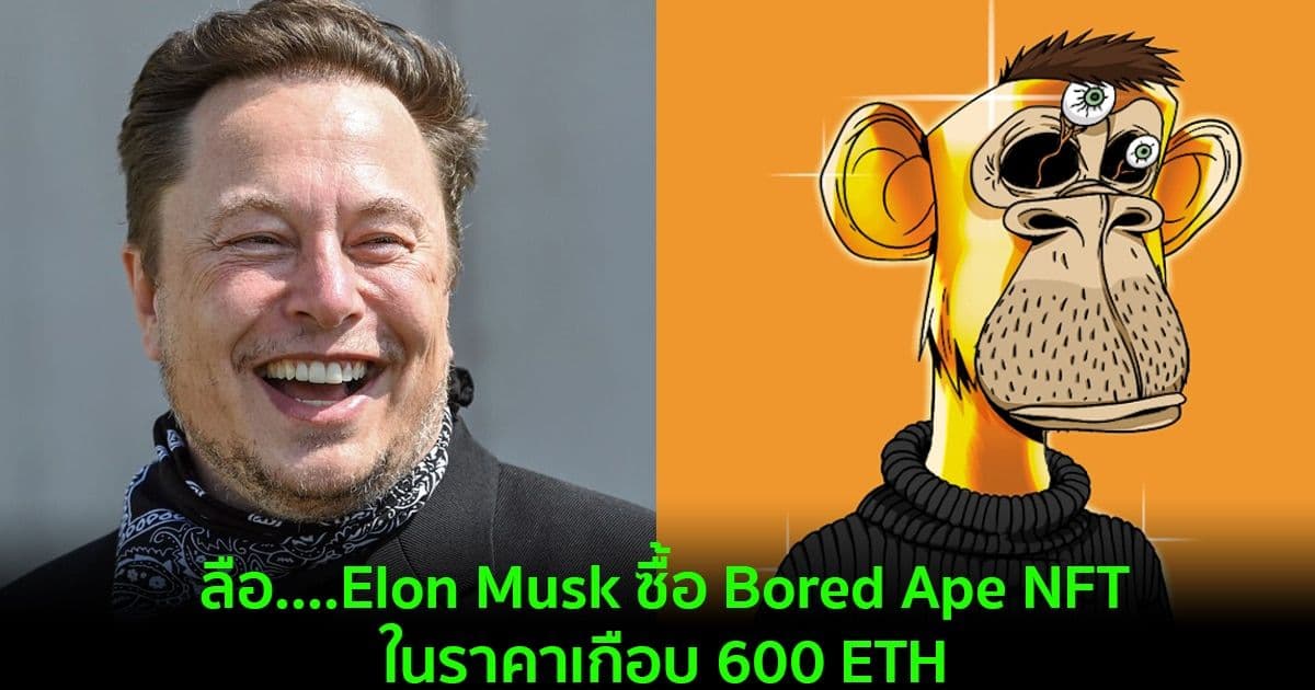 ลือ....Elon Musk ซื้อ Bored Ape NFT ในราคาเกือบ 600 ETH