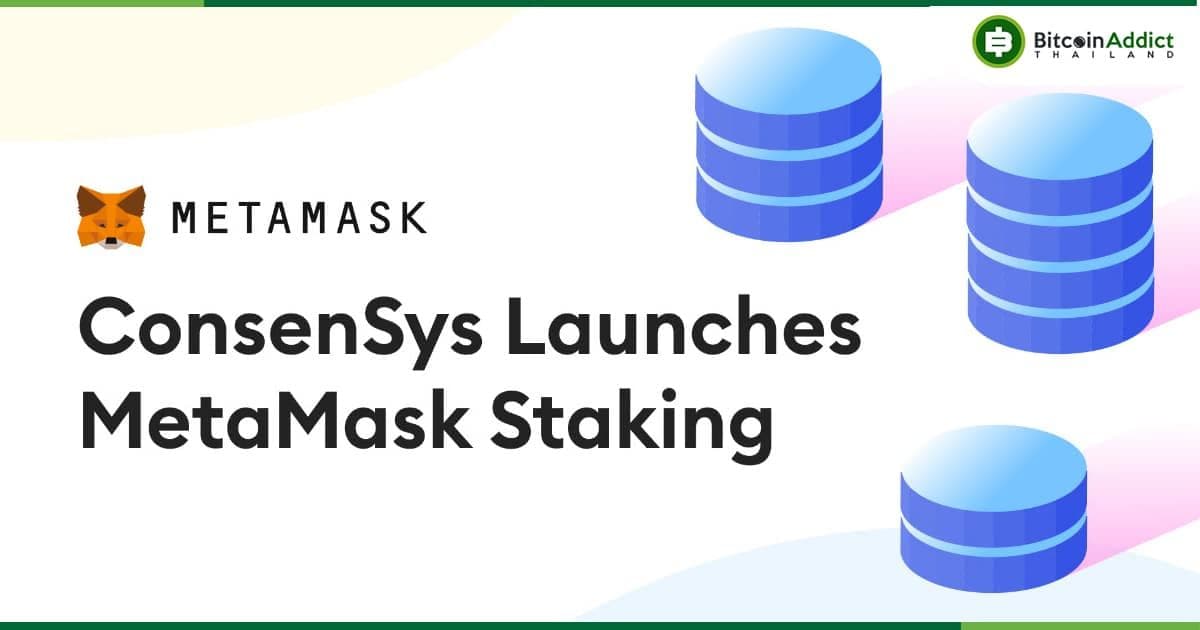 MetaMask เปิดตัว "Staking" ผ่านโปรโตคอล Lido และ Rocket Pool