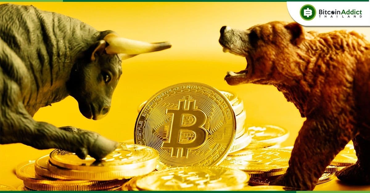 ข้อมูลชี้นักลงทุนสถาบันเริ่มซื้อ Bitcoin หรือ Bull Run กำลังจะมา?