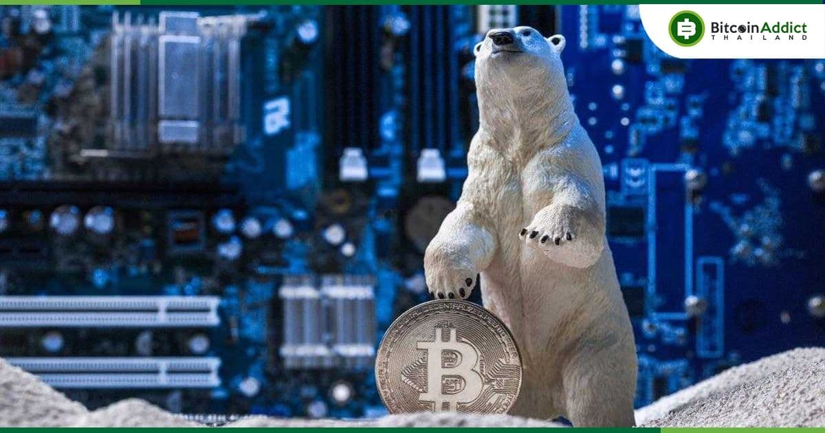 "ตลาดหมี Crypto นำเสนอโอกาส ท่ามกลางความโกลาหล" ผู้บริหารกลุ่มสินทรัพย์กล่าว
