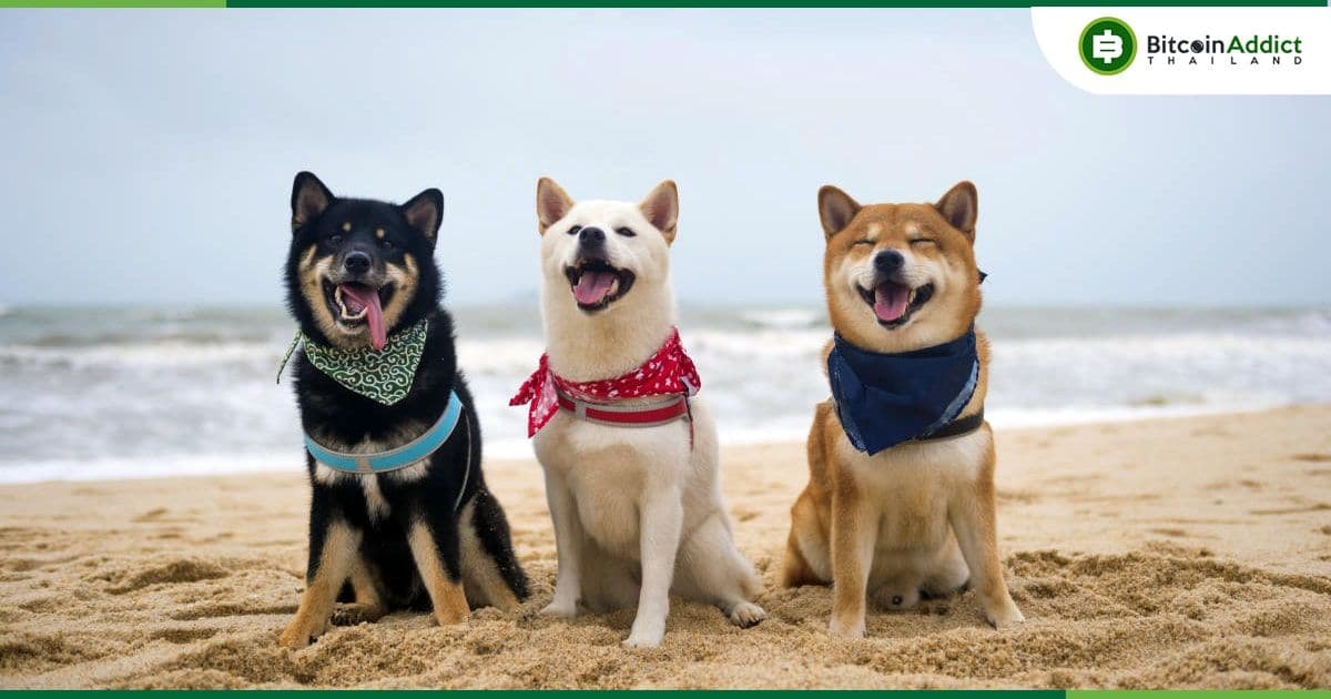 Dogecoin เพิ่มขึ้น 18% ในช่วงเทศกาลวันหยุดขอบคุณพระเจ้าของสหรัฐฯ