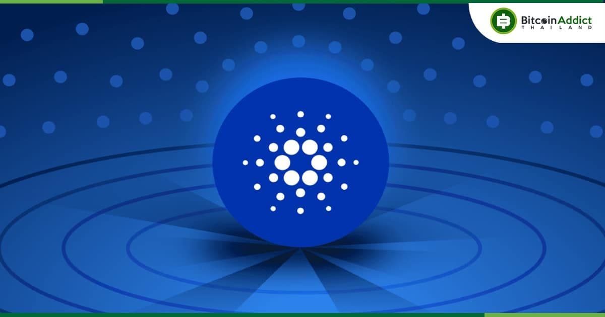 เครือข่าย Cardano เปลี่ยนไปอย่างไรบ้าง นับตั้งแต่ Vasil Hard Fork