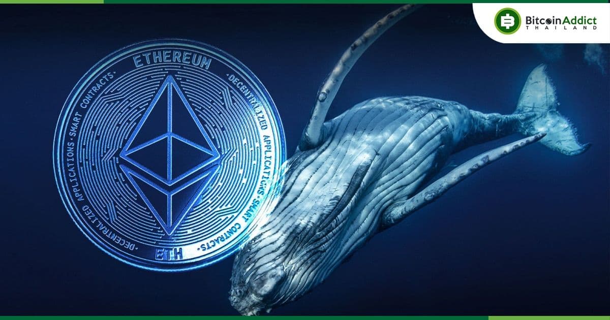 กระเป๋าเงิน Ethereum 10 อันดับแรก ถือครองรวมกันกว่า 1/3 ของ ETH ทั้งหมดในตลาด