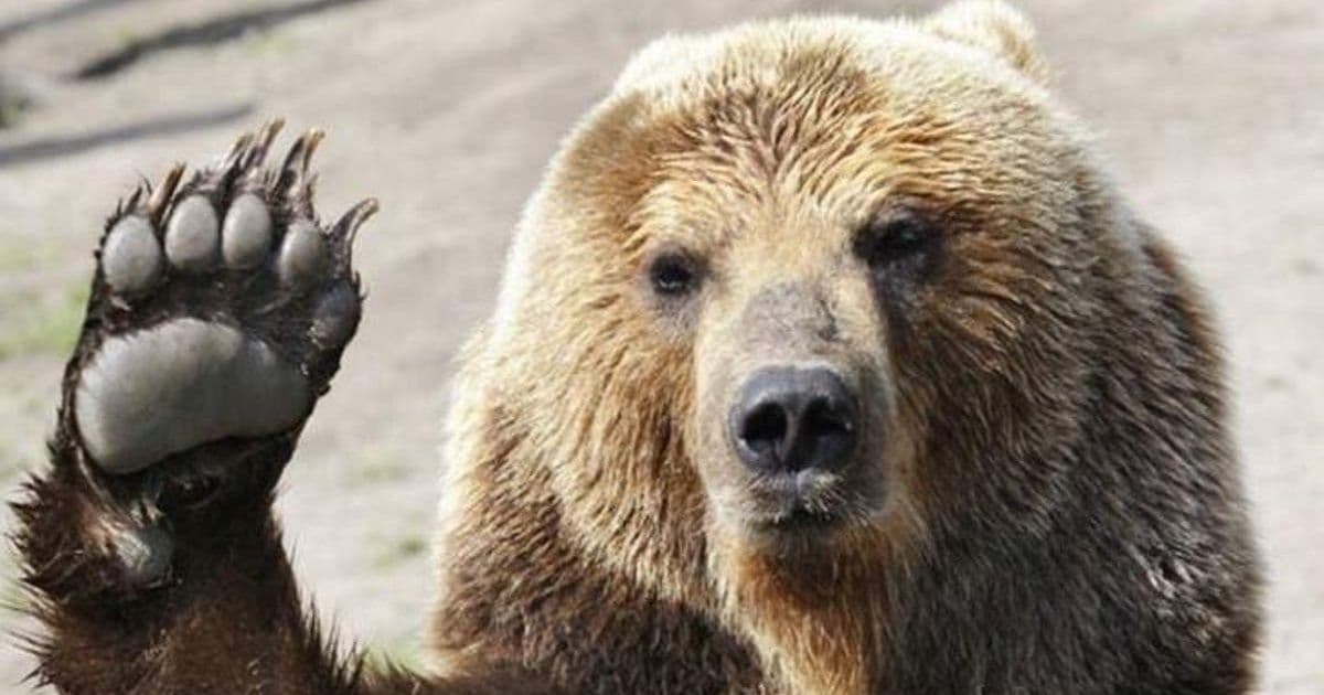 ราคา Bitcoin จะลงไปปิด CME gap ที่ 17,000 ดอลล่าร์ หรือไม่?