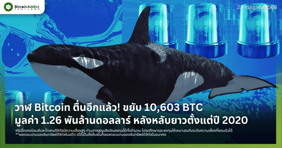 วาฬ Bitcoin ตื่นอีกแล้ว! ขยับ 10,603 BTC มูลค่า 1.26 พันล้านดอลลาร์ หลังหลับยาวตั้งแต่ปี 2020