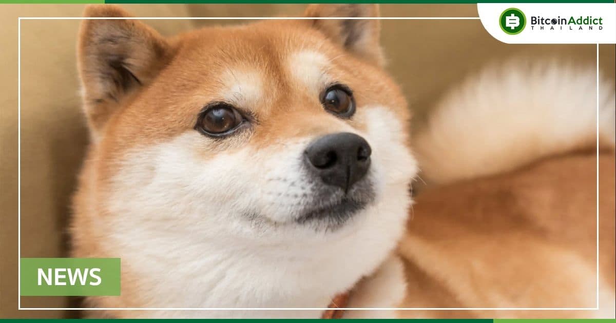 หนึ่งในนักพัฒนา Shiba Inu ออกคำเตือนเกี่ยวกับเรื่องการหลอกลวง
