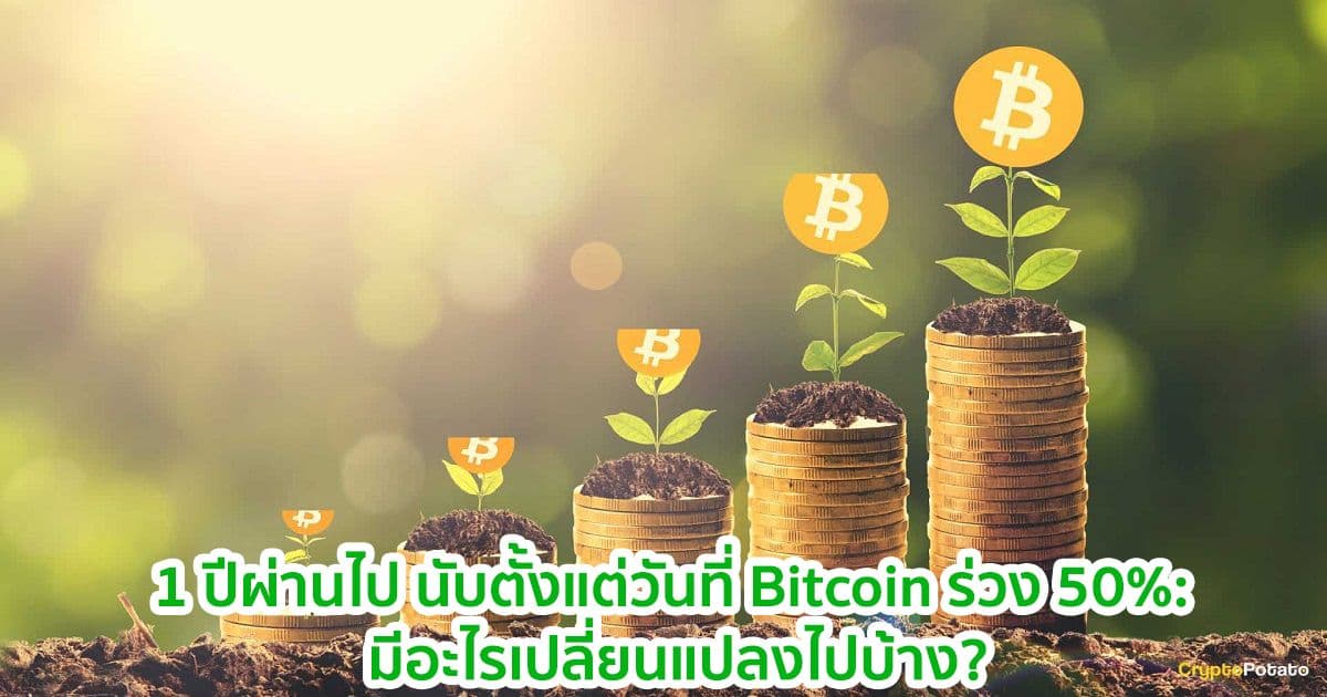 1 ปีผ่านไป นับตั้งแต่วันที่ Bitcoin ร่วง 50%: มีอะไรเปลี่ยนแปลงไปบ้าง?