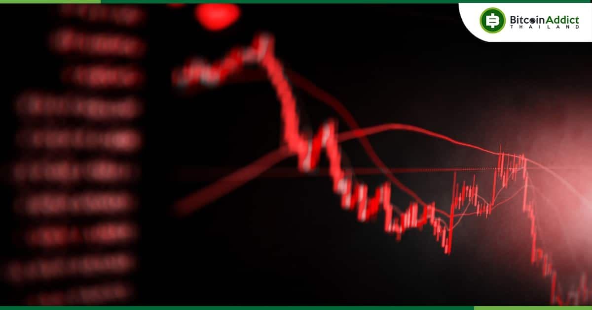 TeddyDoge Rug Pull ได้เงินไป 165 ล้านบาท พร้อมราคาโทเค็นดิ่งกว่า 99%