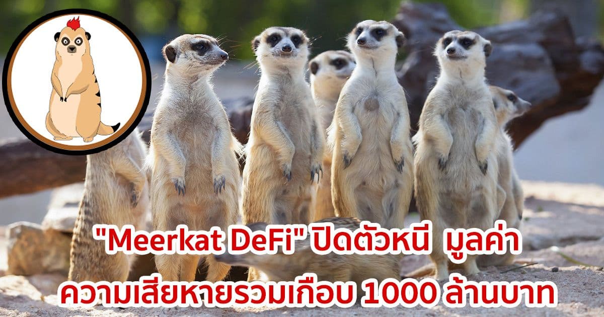 โครงการ DeFi  "Meerkat DeFi" ปิดตัวหนี  มูลค่าความเสียหายรวมเกือบ 1000 ล้านบาท