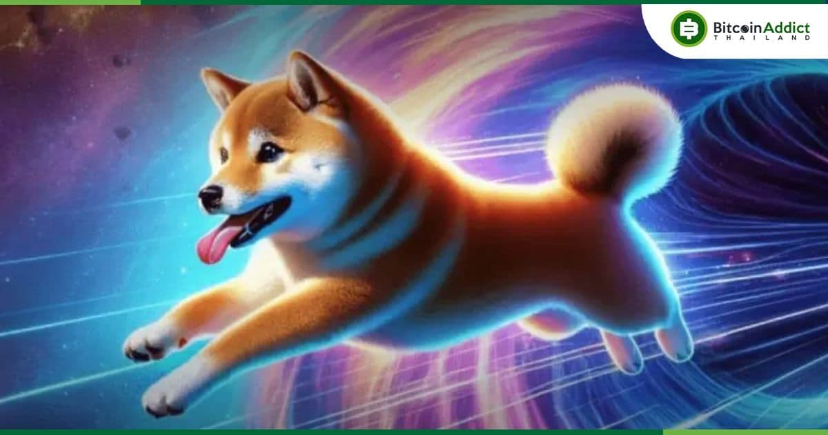 Dogeverse โทเค็นมีม Cross-Chain ตัวแรก ระดมทุนกว่าได้ 10 ล้านดอลล่าร์ (368 ล้านบาท)