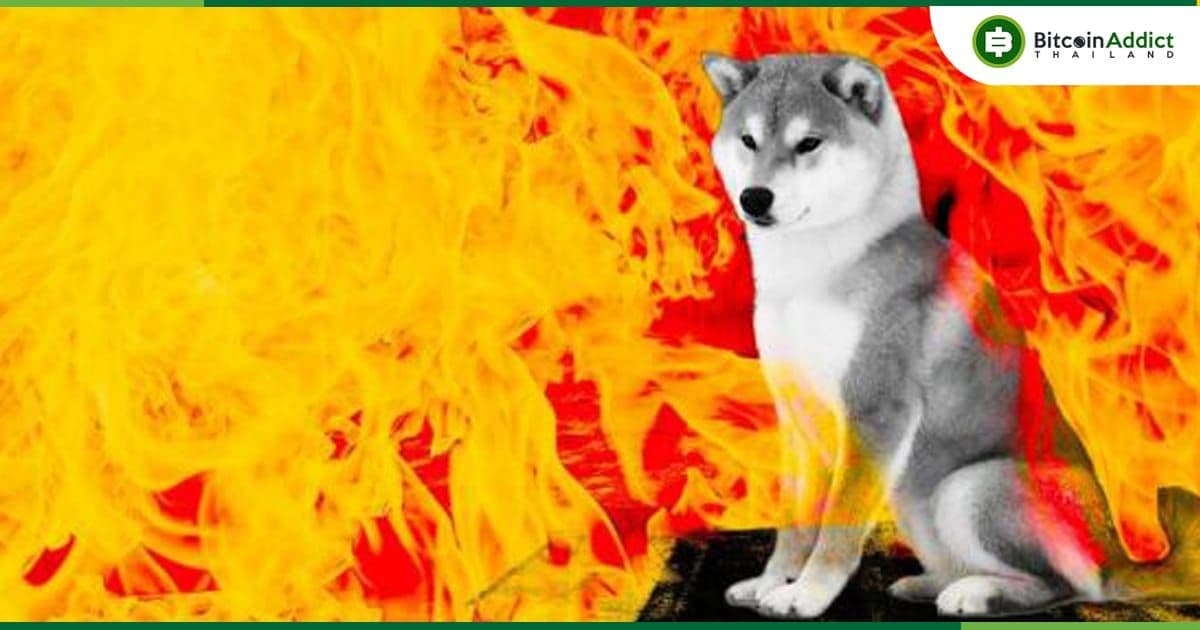 อัตราการเผาโทเค็น SHIB ลดลงอย่างมาก แม้จะมีความพยายามอย่างมากจากชุมชน Shiba Inu