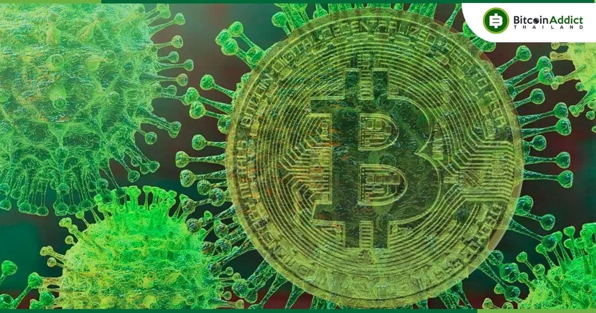 Bitcoin เพิ่มขึ้นกว่า 1,800% ใน 4 ปี หลังจากราคาตกต่ำในช่วง COVID-19 ปี 2020