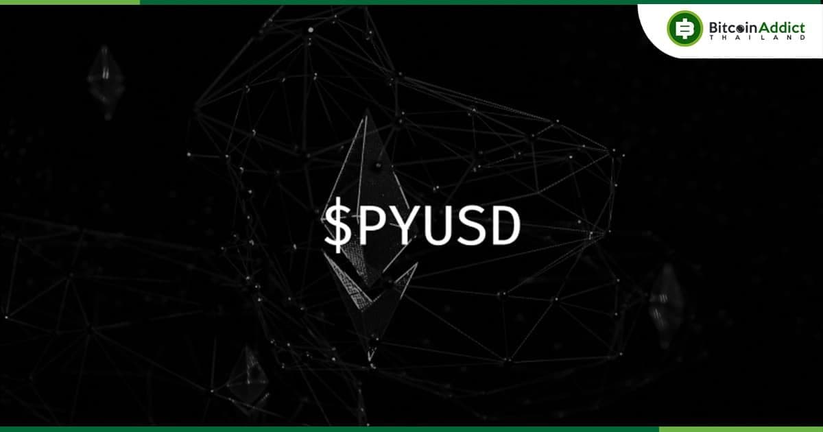 ระวังของแทร่!! พบโทเค็นปลอมของ PYUSD Stablecoin ของ PayPal ระบาดหนักเกือบทุกเครือข่าย อย่าหลงซื้อเด็ดขาด