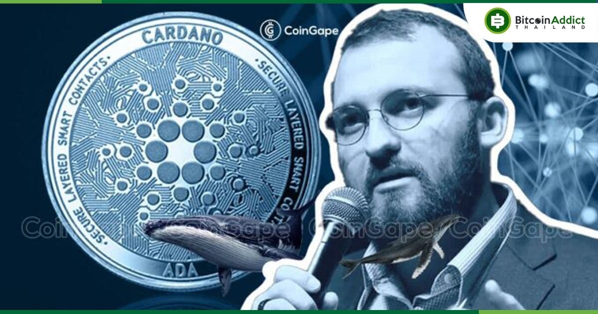 ผู้ก่อตั้ง Cardano เผยว่าอาจร่วมมือกับ Kraken เกี่ยวกับการสร้างเครือข่าย Layer-2