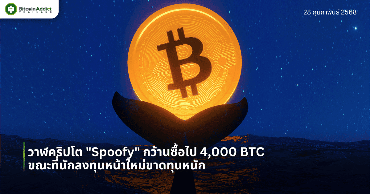 วาฬคริปโต “Spoofy” กว้านซื้อไป 4,000 BTC ขณะที่นักลงทุนหน้าใหม่ขาดทุนหนัก