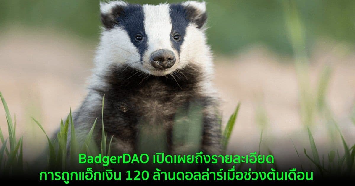 BadgerDAO เปิดเผยถึงรายละเอียดการถูกแฮ็กเงิน 120 ล้านดอลล่าร์เมื่อช่วงต้นเดือน