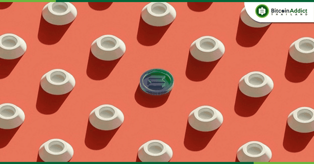 Solana, Toncoin และ Green Bitcoin มีอะไรน่าจับตามองในช่วงนี้บ้าง
