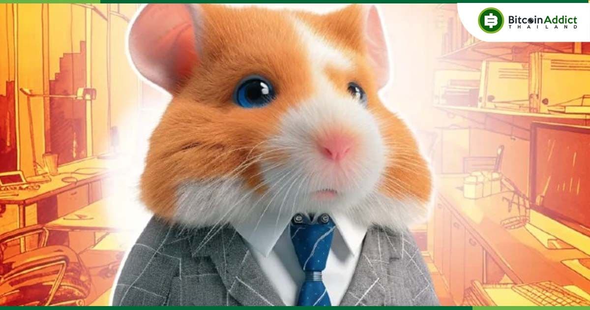 Hamster Kombat ผู้เล่นลดฮวบถึง 86% จาก 300 ล้าน เหลือ 41 ล้าน ใน 3 เดือน
