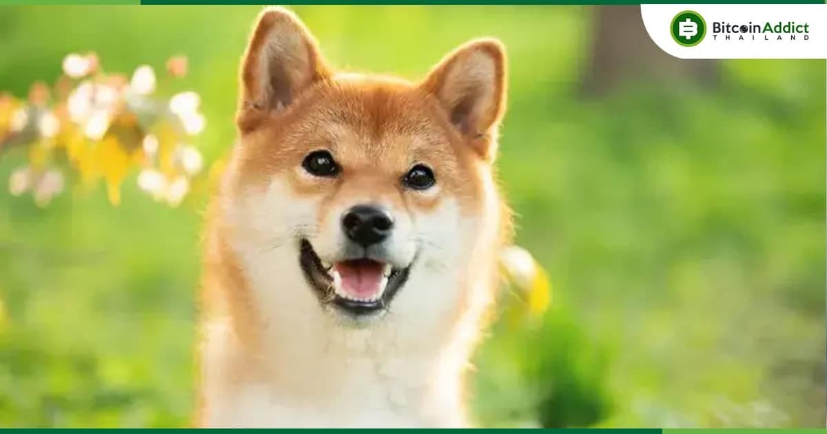 หัวหน้านักพัฒนา Shiba Inu เผยถึงอัปเดตสำคัญ รวมถึงคำใบ้ว่าอะไรจะเกิดขึ้นต่อไป