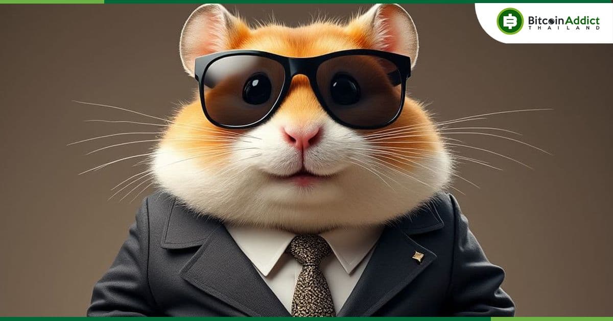 แจกจริง! Hamster Kombat เผยแผนแจกอีก 53.25 พันล้านโทเค็นทันที หลังจบซีซั่นแรก