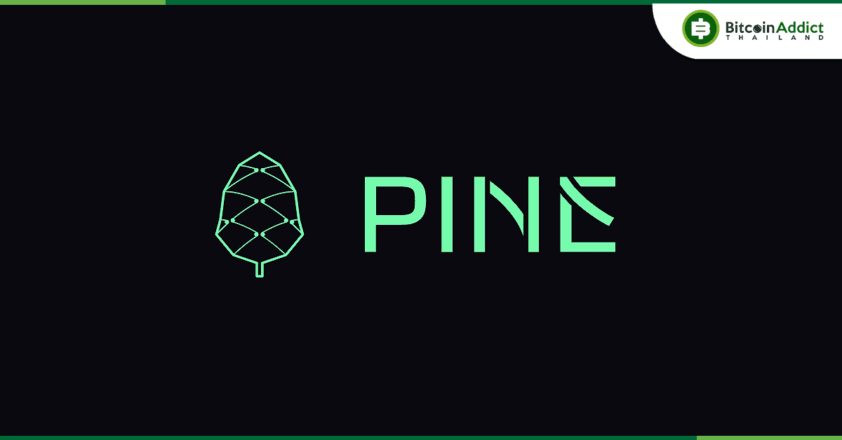 Pine Protocol แพลตฟอร์มการเงิน NFT ระดมทุนรอบ Private มูลค่า 3 ล้านเหรียญ นำโดย Amber Group และ Sparkle Ventures